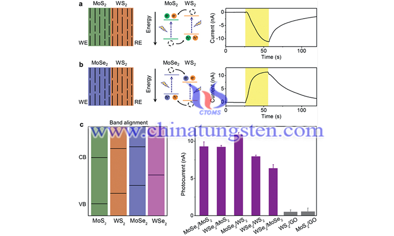 Similar ionic photocurrent response to MoS2-WS2 membranes image