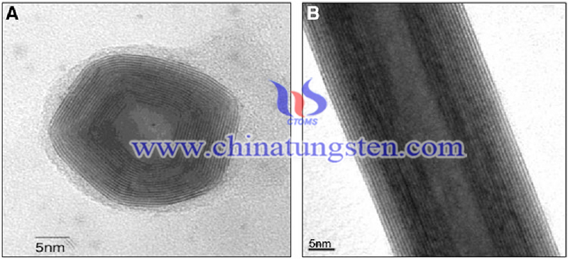 Typical TEM images of IF-WS2 and INT-WS2 image