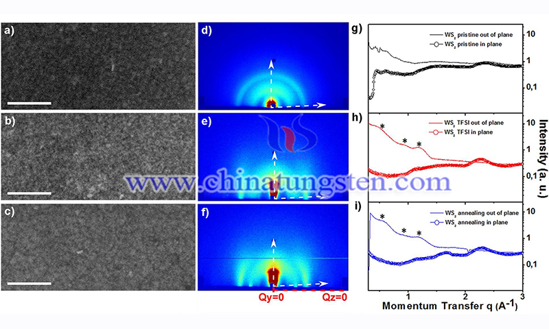 High-magnification SEM images of WS2nanoflakess deposited on glass substrates by spin-coating film image