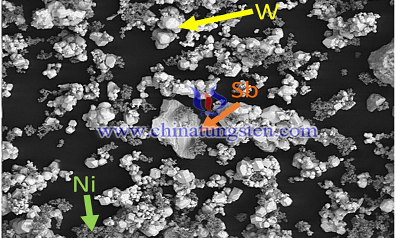  SEM images of the powders- W, Ni, and Sb