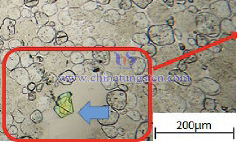 SEM image of tungsten alloys