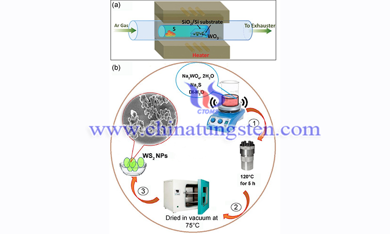 Schematic of the processes for producing WS2 thin films by one-step CVD and hydrothermal method image