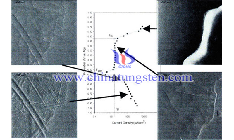 ECAFM results for a cast CoCrMo alloy in PBS image