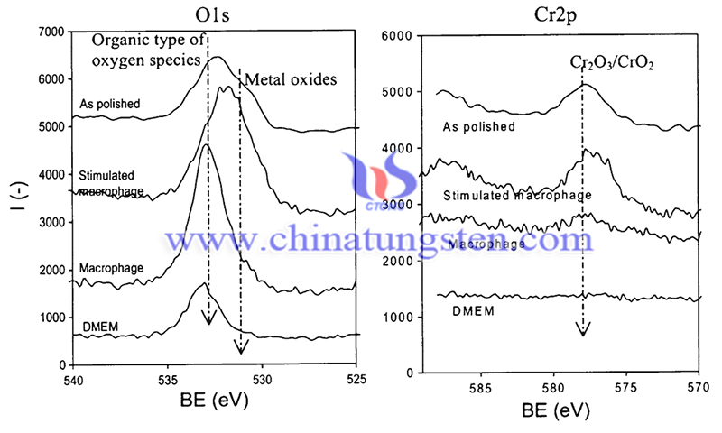 Examples of the O and Cr high-resolution spectra for As-polished and passivate Co-Cr-Mo samples image