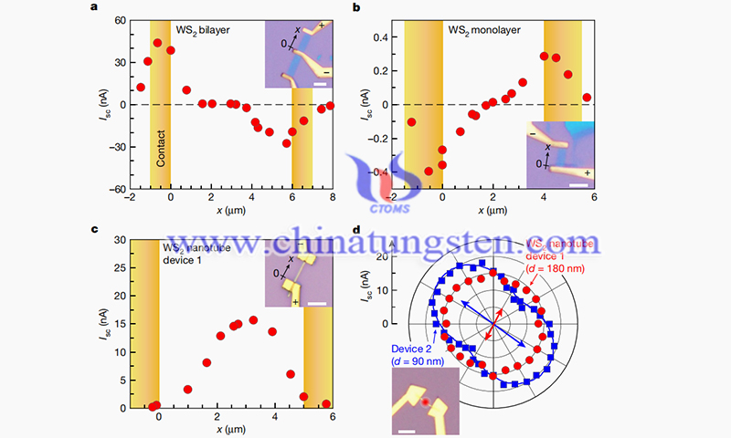 The photovoltaic response obtained with WS2-based devices of different crystal symmetry image