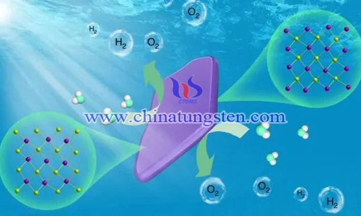 光催化剂分解水图片（图源：Xueling Song/Nature Catalysis）