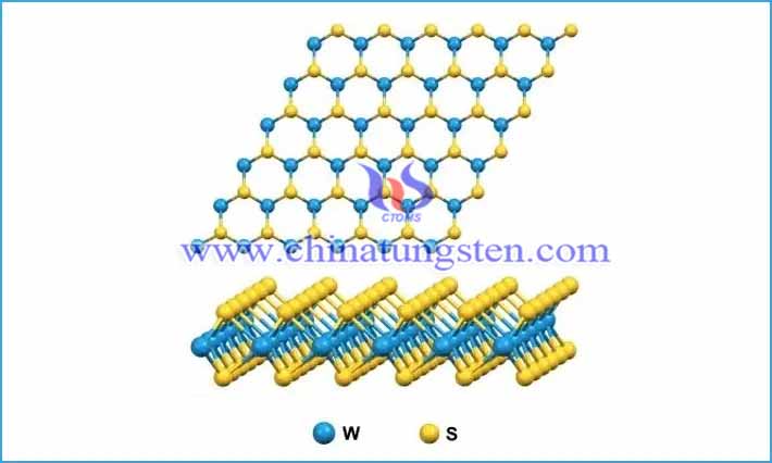 二硫化钨结构图