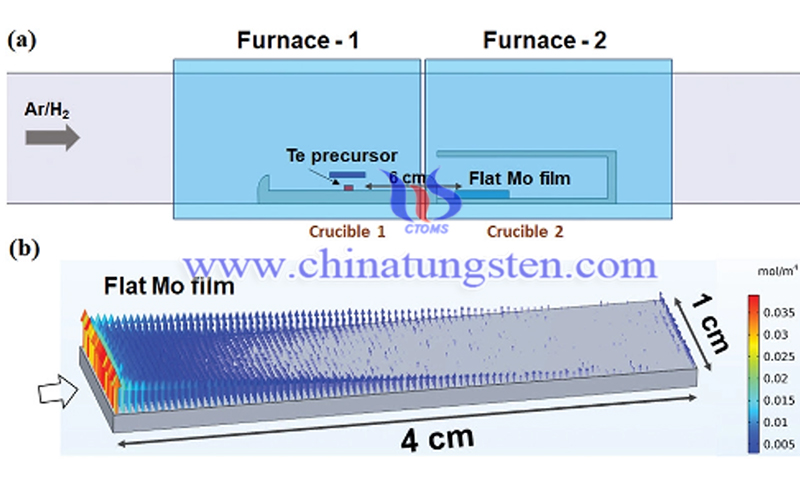 CVD schematic illustration of the experimental set-up for MoTe2 growth in flat configuration image