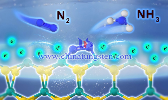 催化固氮图片（Zhan,G.M/上海交通大学）