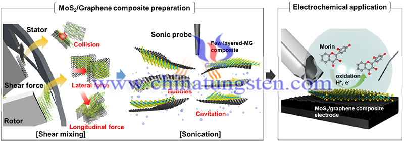 MoS2-石墨烯纳米复合材料的可扩展生产示意图图片