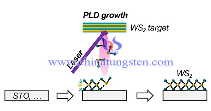 WS2生長圖像的PLD工藝示意圖片
