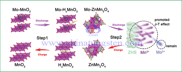 Mo-MnO2電極儲能機制模型（圖源：Xiaoming Sun/Nano Research）