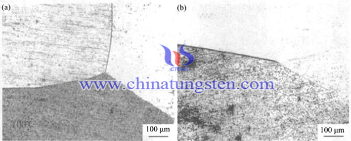 钽钨铸锭金相组织图片（来源：赵鑫/北京科技大学材料科学与工程学院）