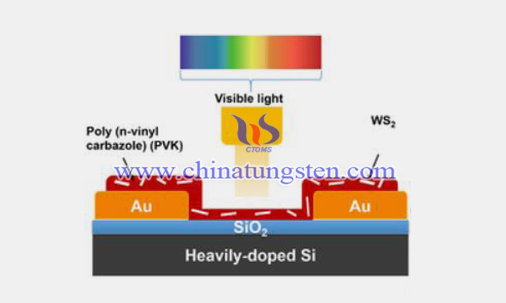 WS2-PVK光探测器结构示意图（图源：中科院上海光机所）