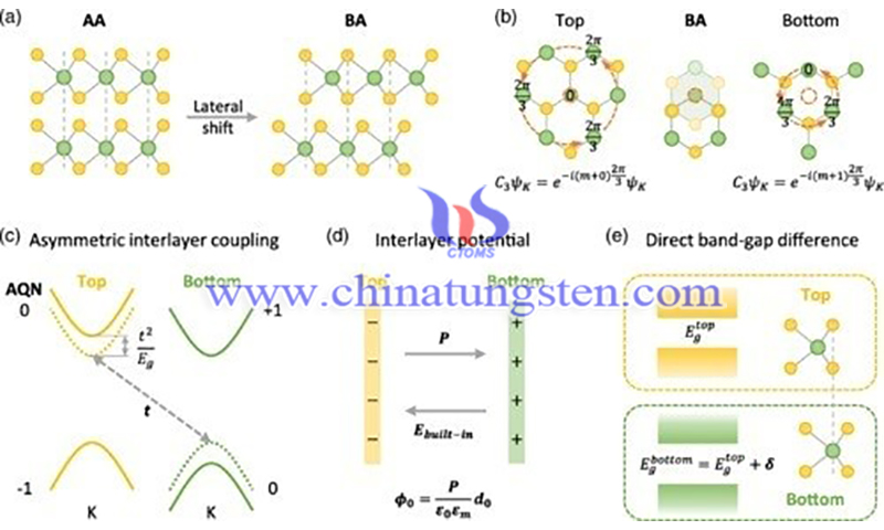 Schematic of asymmetric interlayer coupling in the 3R-MoS2 bilayer image