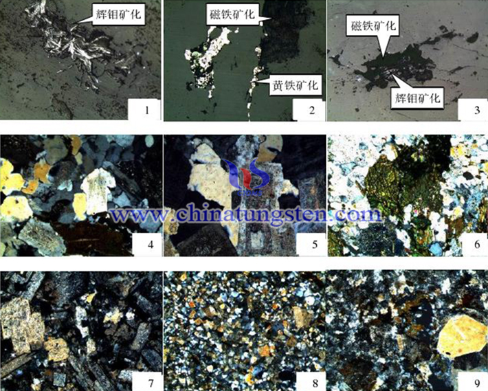 銅台鉬礦床岩石標本光片圖（圖源：吉林大學）
