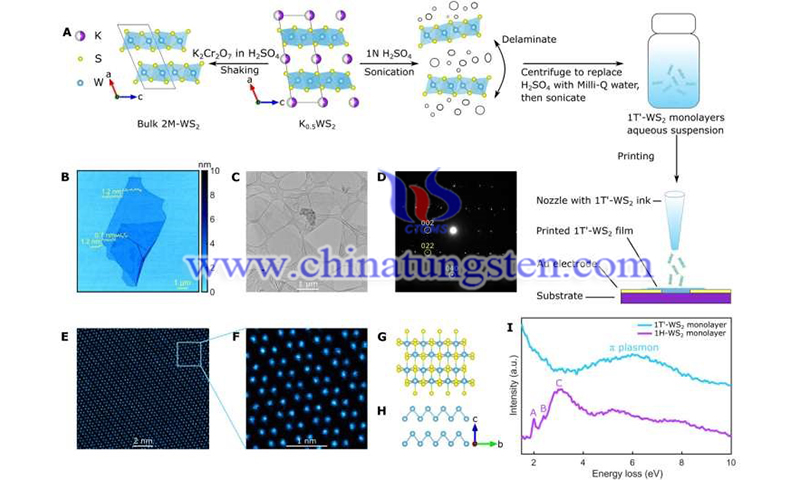 Chemically exfoliated 1T-WS2 monolayers image