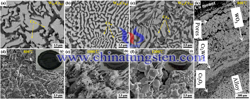 不同铬含量的W-Cr合金的SEM图片