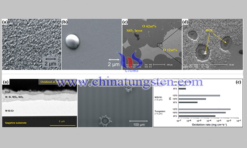 SEM images of W-Si alloys and cross-sectional SEM image of oxidized WSi12Cr7 alloy image