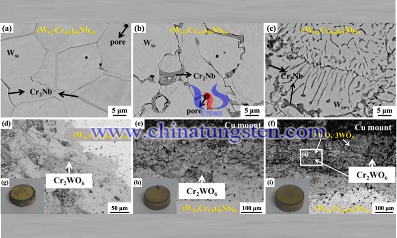 不同W-Cr-Nb合金的SEM图片