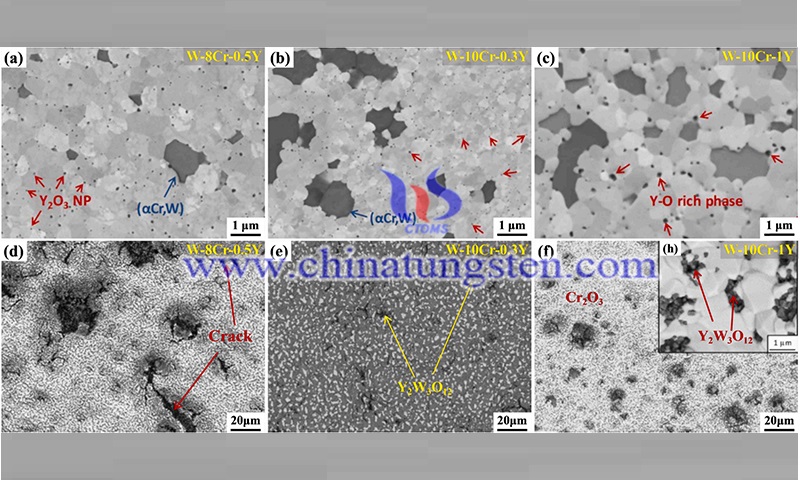 不同W-Cr-Y合金在1000温度下等温氧化24小时前后的表面微观结构图片