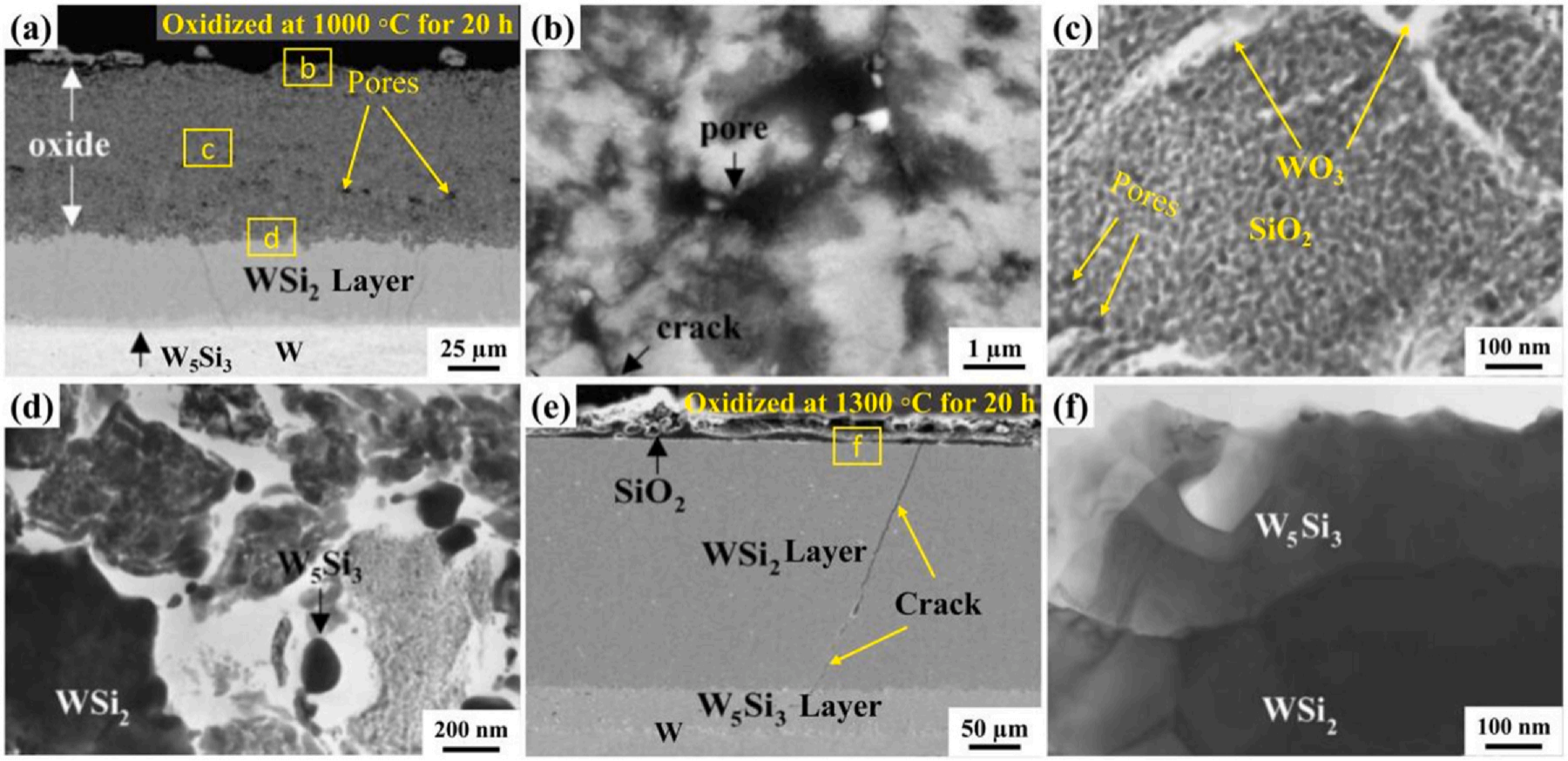 The Cross-sectional morphologies of oxidized WSi2 coatings under different conditions image