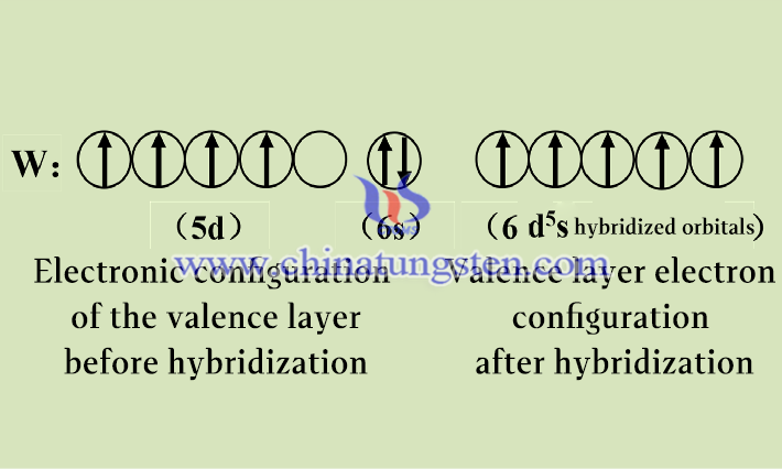 Schematic diagram of the participation of all outer electrons of tungsten in hybridization orbitals