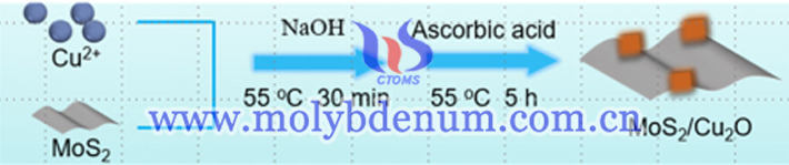 MoS2与Cu2O合成示意图（图源：Small Science）