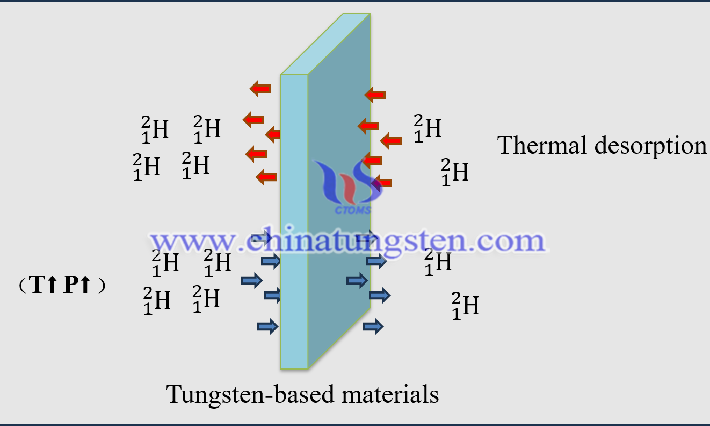 the gradient concentration difference on both sides of the tungsten based material
