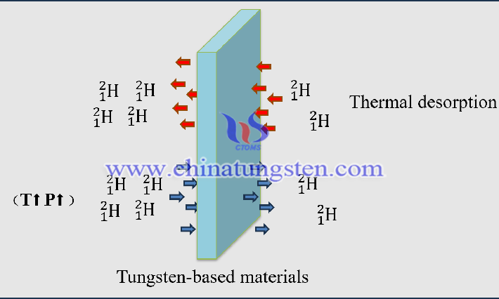 钨基材料两侧的梯度浓度差