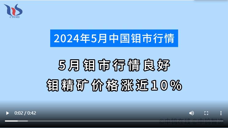 5月鉬市行情如何