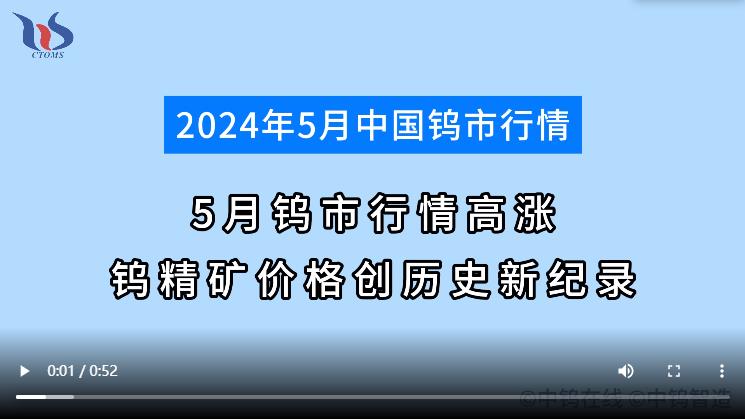 5月鎢市行情如何