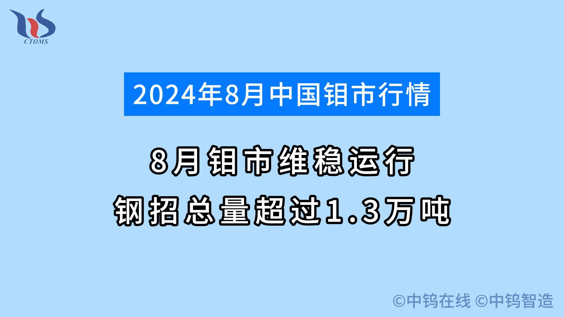 2024年8月钼市行情如何