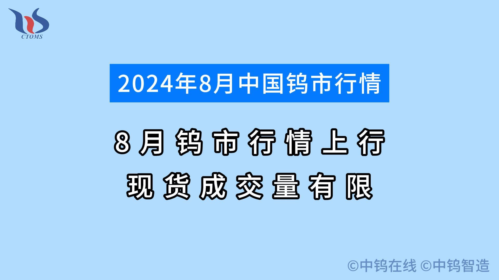 2024年8月钨市行情如何