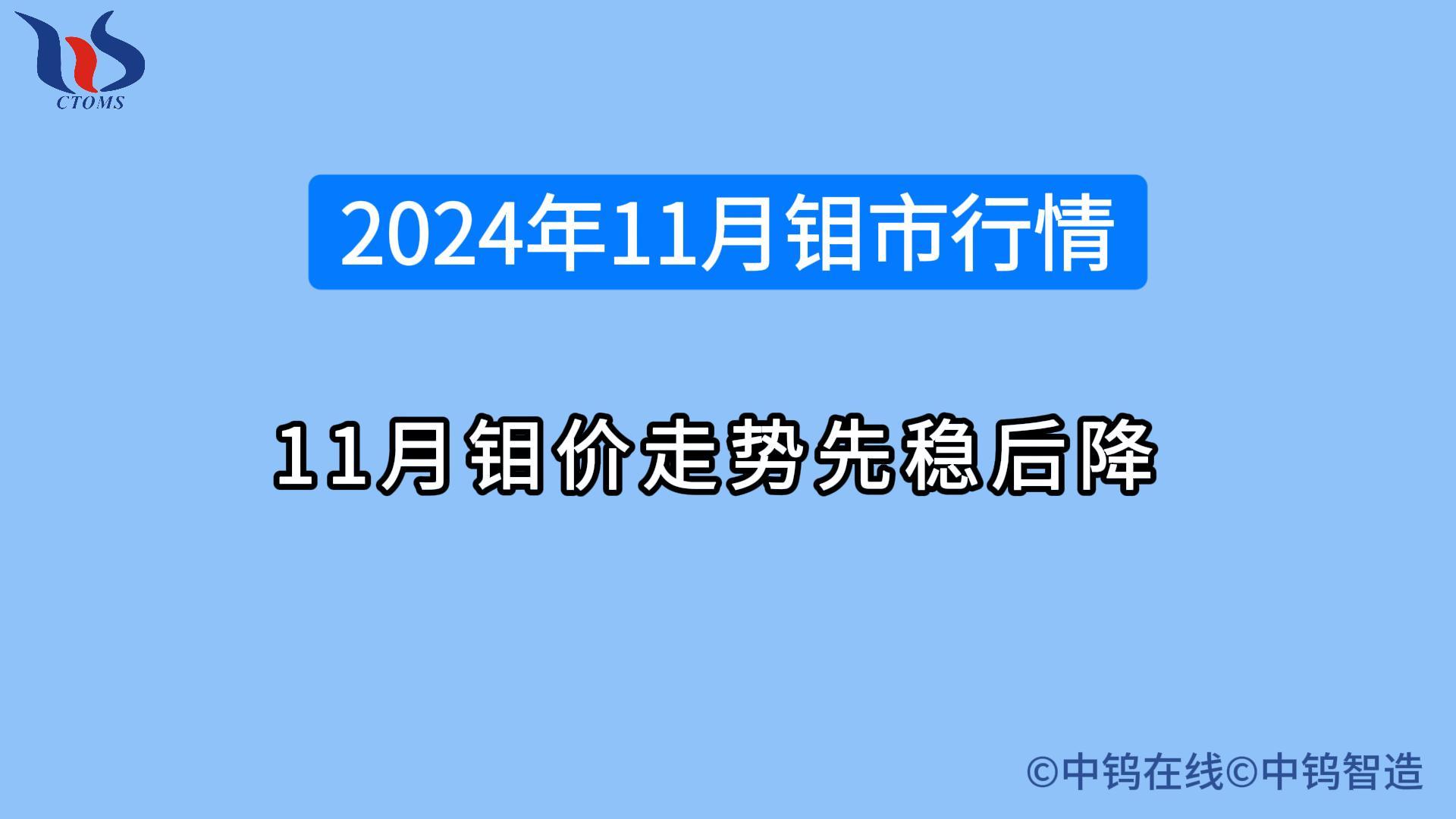 2024年11月鉬市行情如何