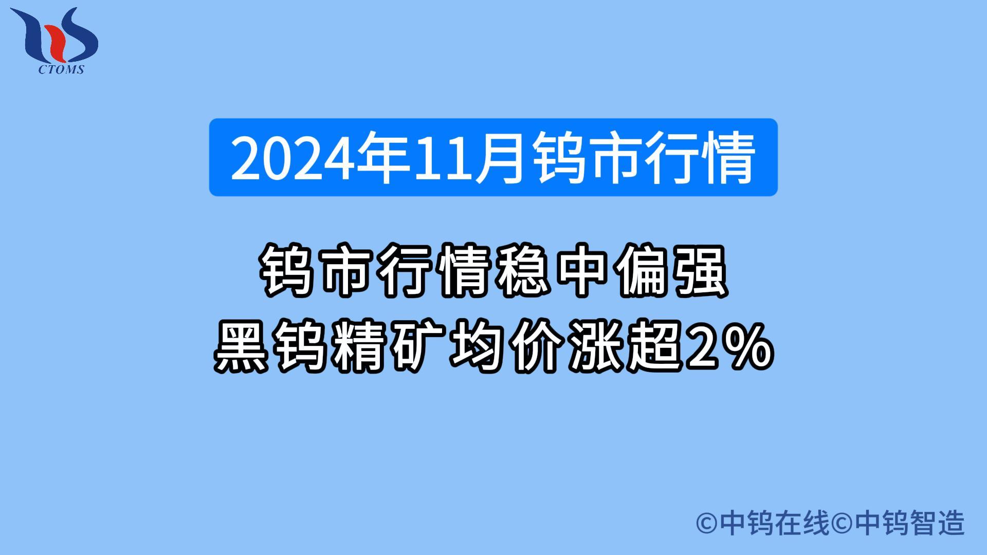 2024年11月鎢市行情如何