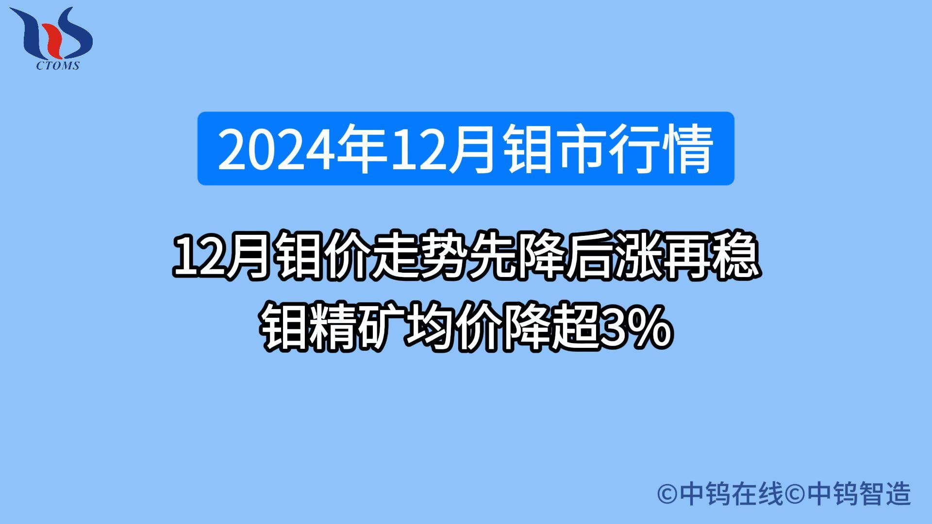 2024年12月鉬價行情