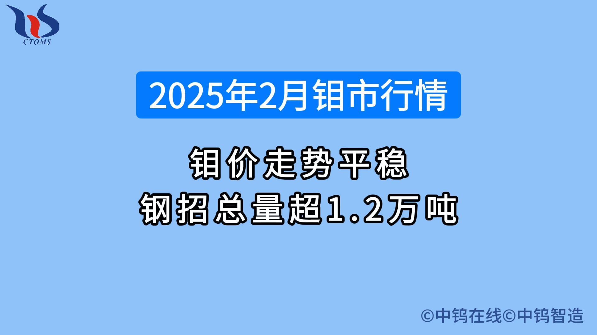 2025年2月鉬價行情如何