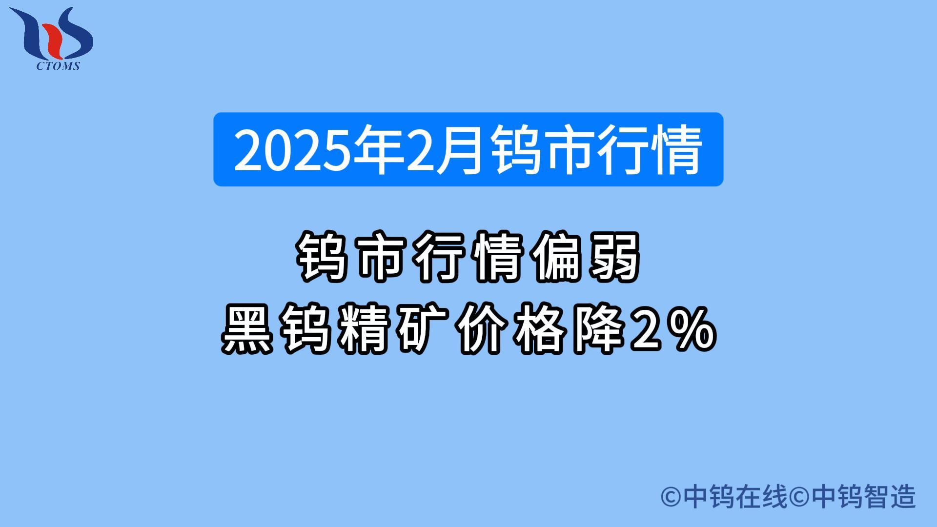 2025年2月鎢價行情如何