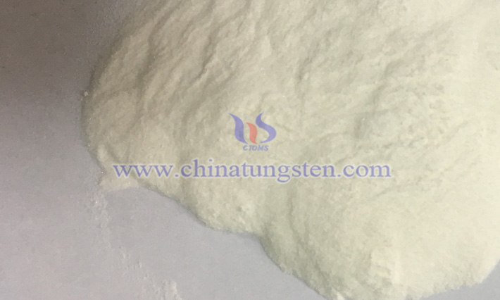 CTIA GROUP LTD AMT image