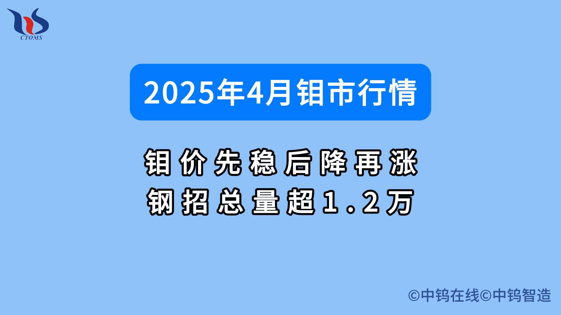 2025年4月钼价行情如何图片 2025年4月钼价行情如何图片