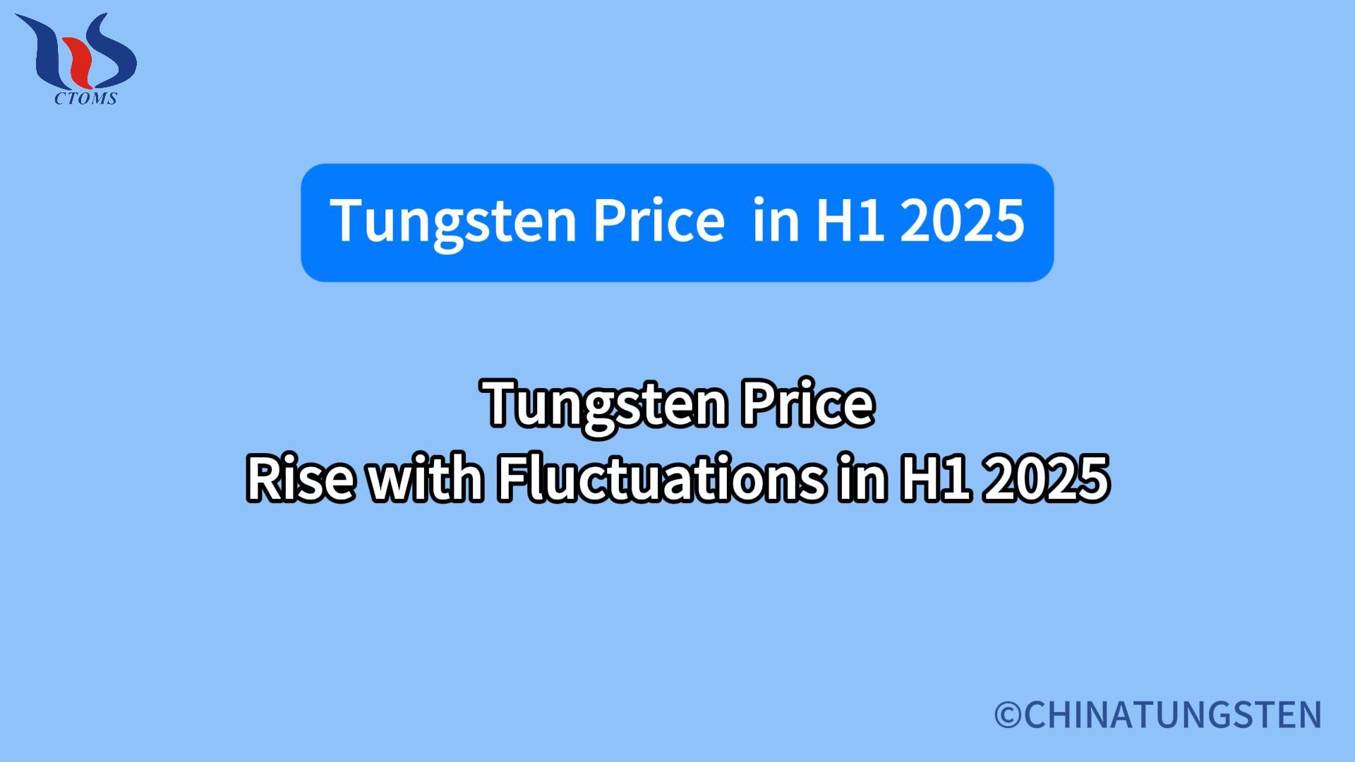 Tungsten Price Rise with Fluctuations in the First Half of 2025