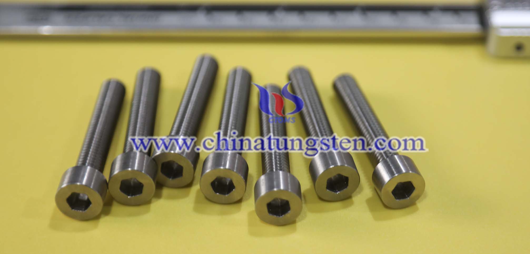Tungsten Alloy Screw photo Tungsten Alloy Screw photo