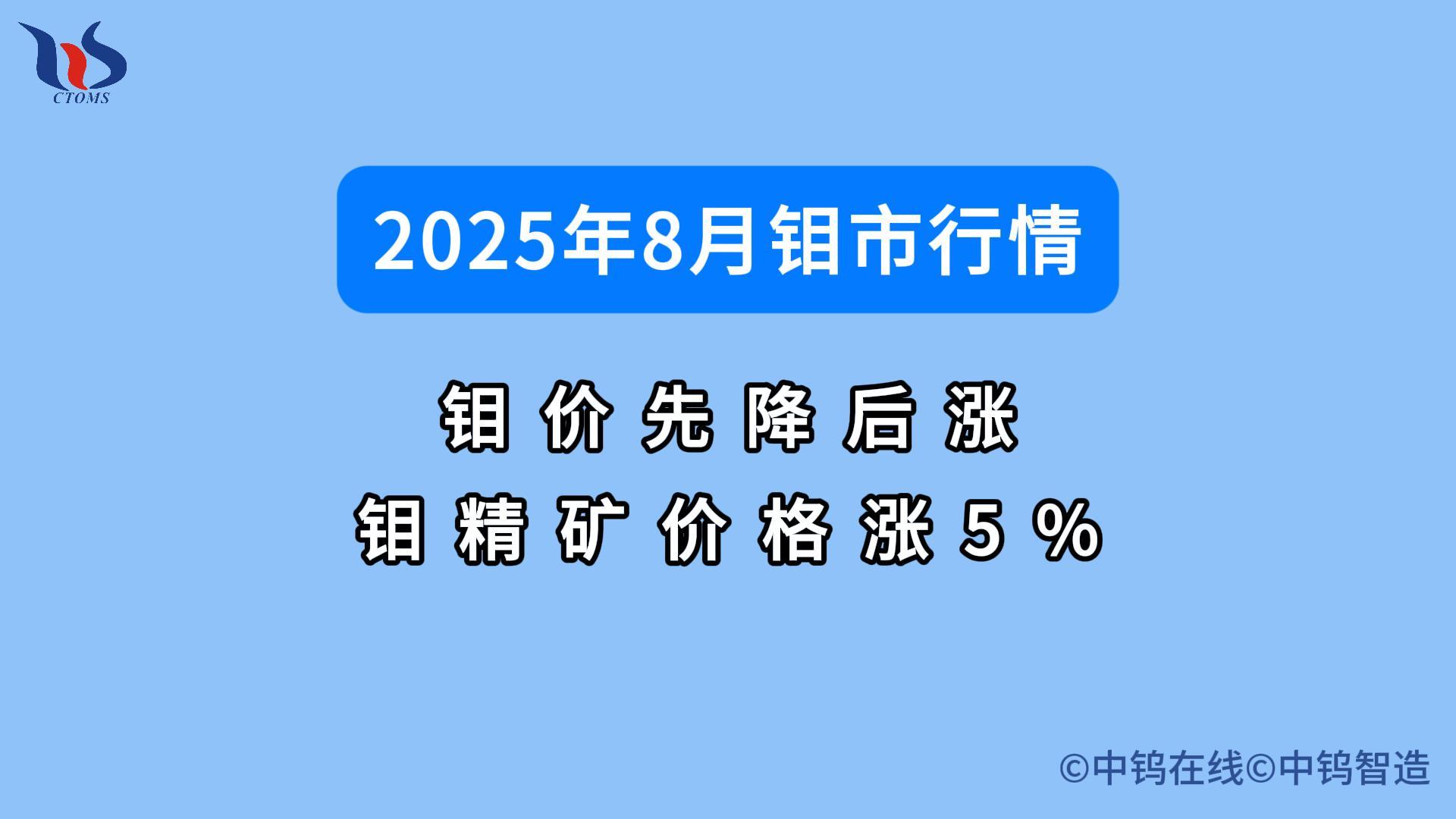 2025年8月鉬市行情如何 2025年8月鉬市行情如何