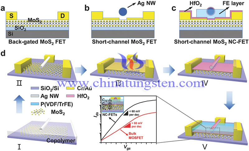 MoS2 negative capacitance field image MoS2 negative capacitance field image