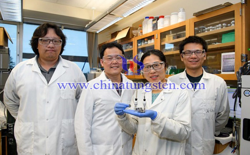 Washington State University research team image