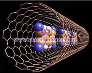 三酸化タングステンのナノチューブ