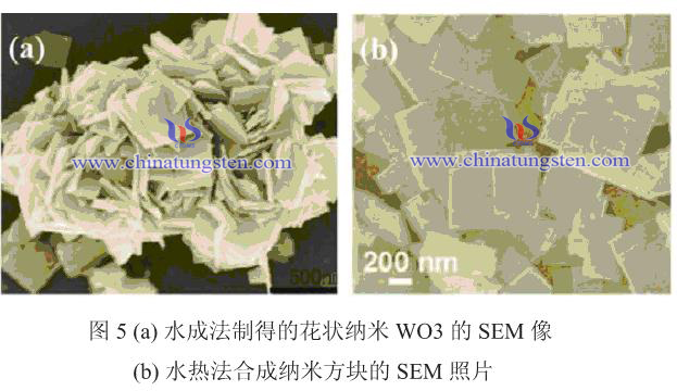 花状纳米WO3，纳米方块WO3