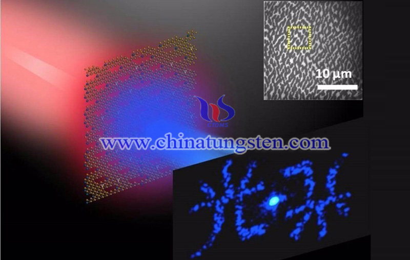 the nanopatterned tungsten disulfide hologram generates blue color image