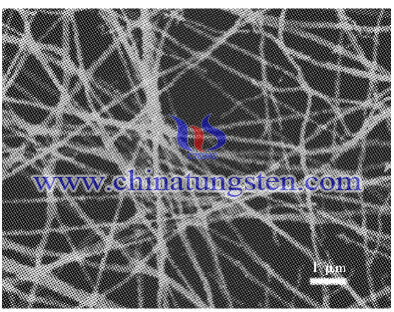 tungsten oxide semiconductor photocatalyst image